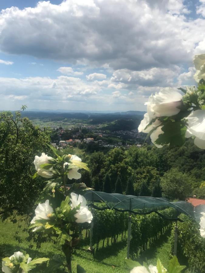 Kuca Za Odmor Magdalena&V Διαμέρισμα Krapina Εξωτερικό φωτογραφία