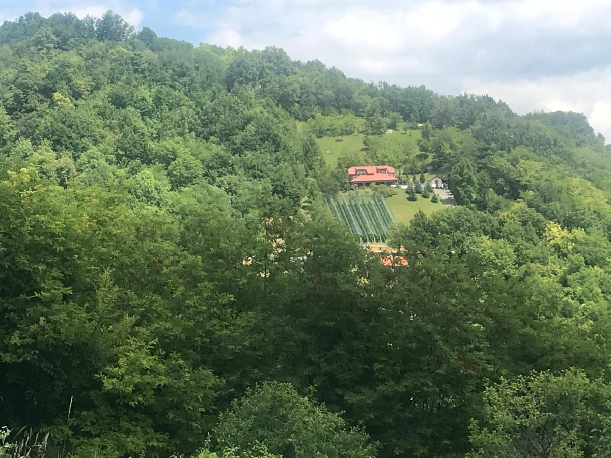 Kuca Za Odmor Magdalena&V Διαμέρισμα Krapina Εξωτερικό φωτογραφία