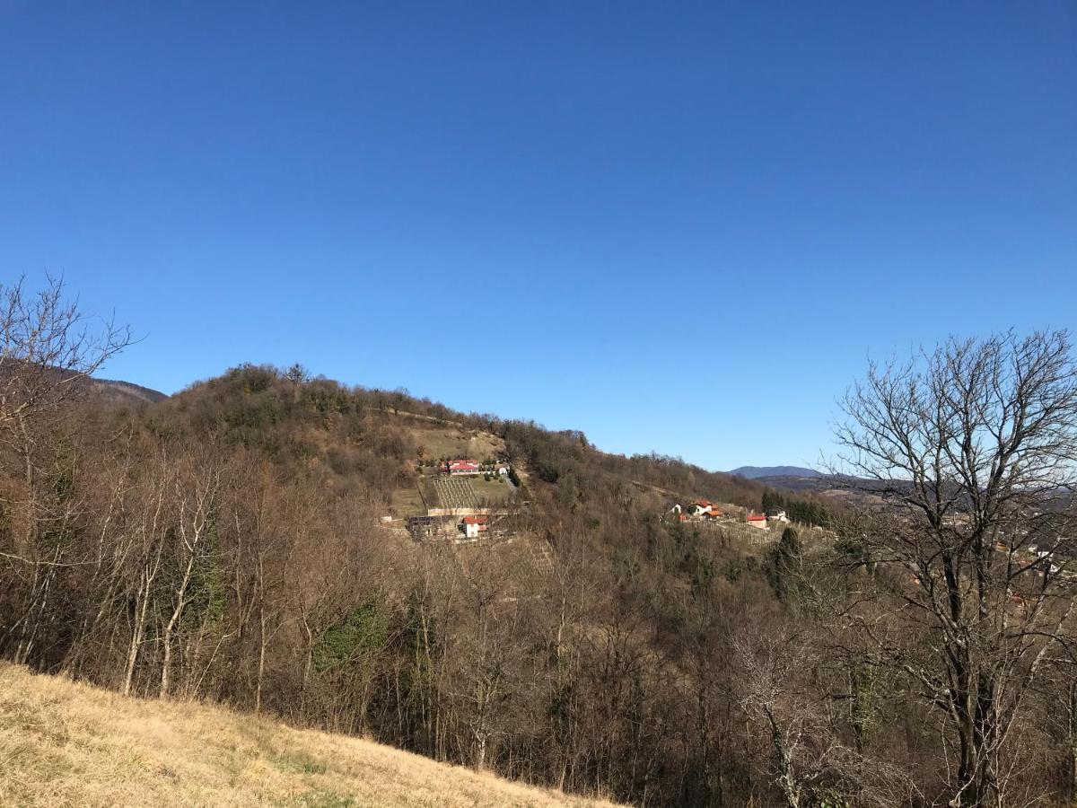 Kuca Za Odmor Magdalena&V Διαμέρισμα Krapina Εξωτερικό φωτογραφία